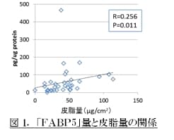 ファンケルが発見、皮脂が増えるとコラーゲンが減る新メカニズム