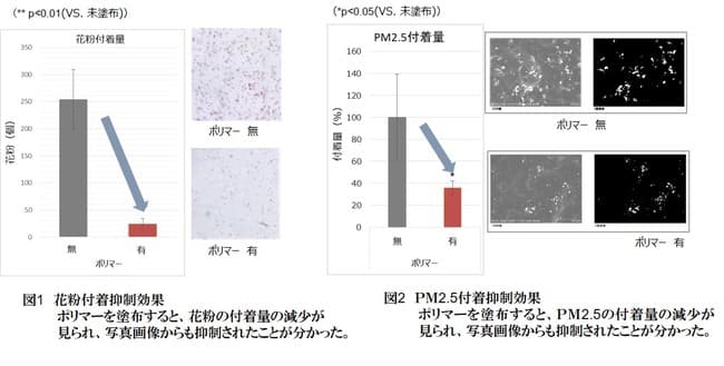 ファンケルが開発した新ポリマー、花粉やPM2.5の肌付着を抑え抗菌効果も確認