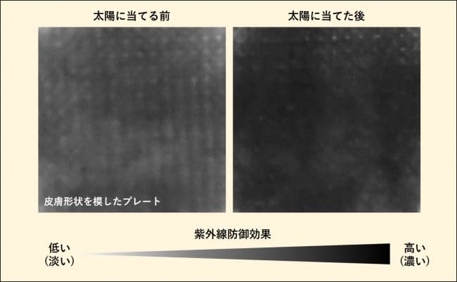 資生堂が世界初、太陽の熱で日焼け止めの効果が高まる技術を開発