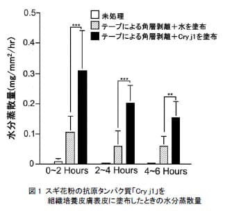 資生堂、スギ花粉が肌のうるおいを奪うメカニズムを初めて科学的に解明